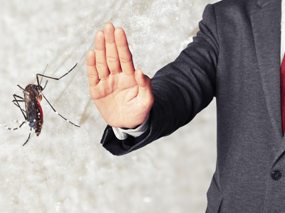 About Safe Havenix - pest control experts in Brisbane